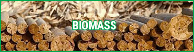 feedstock biomass2